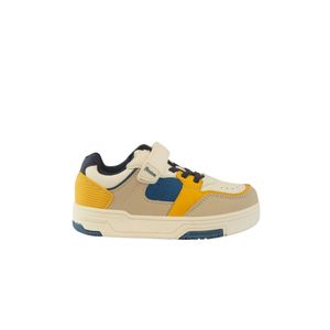 Champion Beige Niño Ficcus