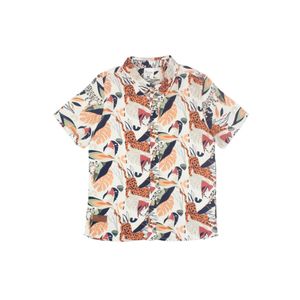 Camisa M/C Beige Claro Niño Ficcus