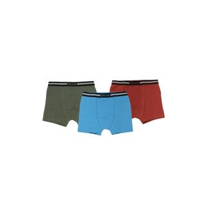 Boxer * 3 combinado niño ficcus