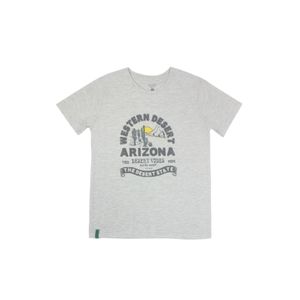 Remera M/C Gris Melange Niño Ficcus