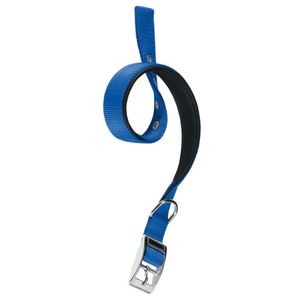 Collar P/ Mascota Daytona C20/43 Azul Ferplast