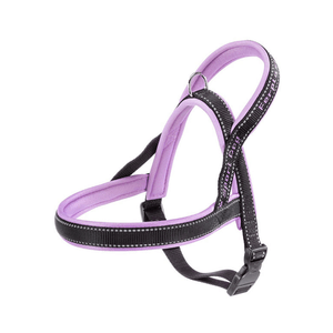 Arnes Sport Dog S Lila Ferplast