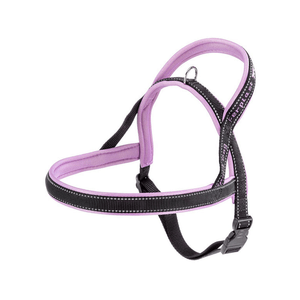 Arnes Sport Dog M Lila Ferplast
