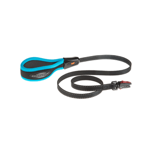 Correa Ergofluo Matic G25/120 Azul Ferplast