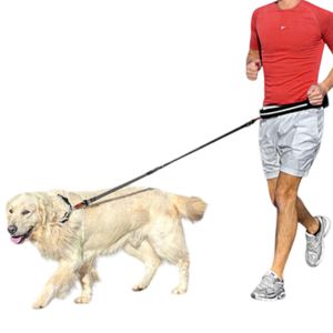 Correa P/Mascota Ergocomfort Free Time Ferplast