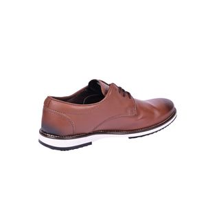 Zapato Oxford Diseño Andora Marrón Oscuro Hombre New Green