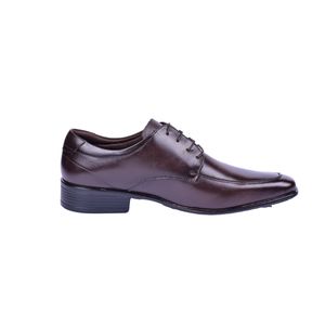 Oxford Diseño Vermont Marrón Hombre New Green