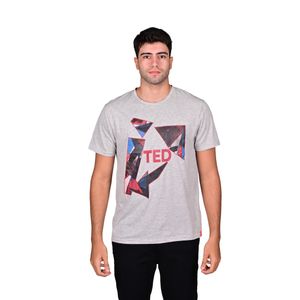 Remera Manga Corta Graphic Gris Hombre Ted Lapidus