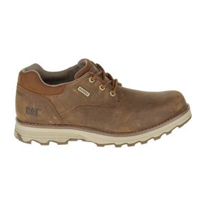 Zapato Cat