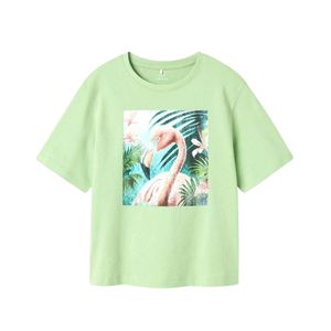 Remera Estampada Flamenco Manga Corta Verde Claro Niña Nameit