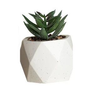 Vaso De Suculenta Artificial Paramount