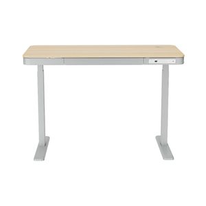 Escritorio Ajustable Eléctrico Unique