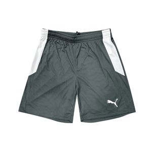 Short Deportivo Teamliga Gris/Blanco Hombre Puma