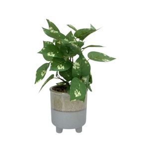 Planta Artificial Decorativa 28 Centímetros Decore