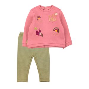 Conjunto *2 Rosa Ficcus