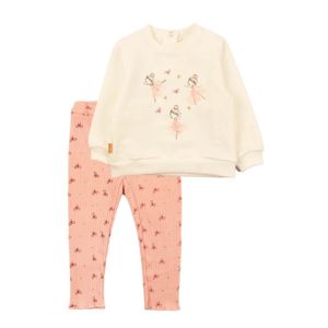 Conjunto *2 Rosa Ficcus