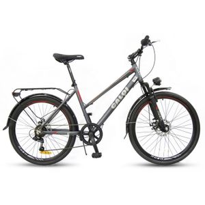 Caloi amsterdam 26" gris