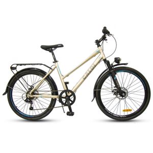 Caloi Amsterdam 26" Plata