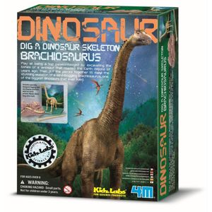 4m brachiosaurus