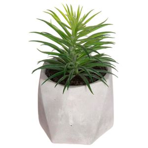 Planta Artificial Base Asimetrica