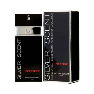 Silver scent intense 100ml