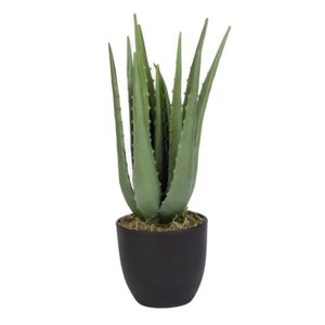 Planta Artif. C/Pote 37cm  Concepts