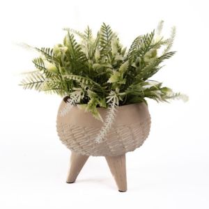 Planta c/pote 13.5x13.5x24cm  concepts