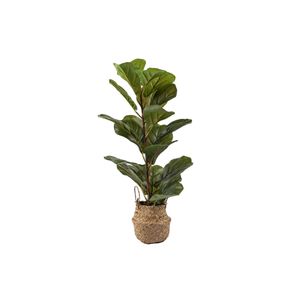 Planta C/Cesta 20x23x66cm Concepts