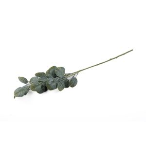 Rama Artificial 64x25x15cm Concepts