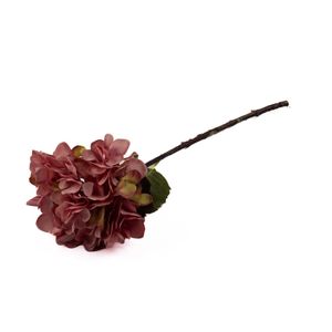 Flor Hortensia Mamey 19x49 Concepts
