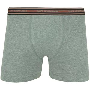 Boxer  Gris Esp. Lupo