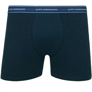 Boxer  Azul M. Esp. Lupo