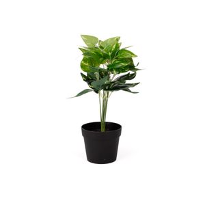 Planta C/Pote 9.8x9.8x28cm Concepts