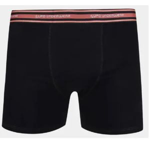 Boxer  Negro Esp. Lupo