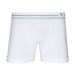 Boxer blanco lupo