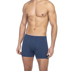Boxer  Azul M. Lupo