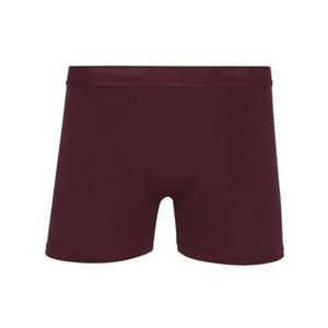 Boxer Bordo Lupo