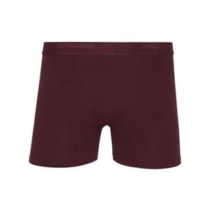 Boxer bordo lupo