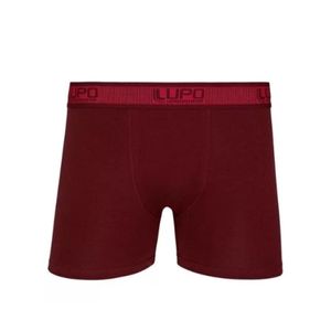 Boxer bordo lupo