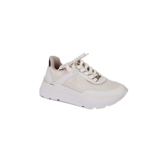 Champion  Beige Vizzano