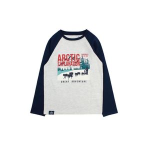 Remera Ml Gris Ficcus