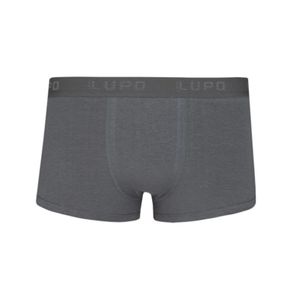 Boxer gris lupo