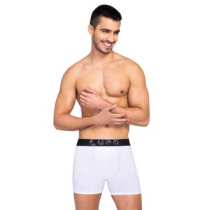 Boxer Blanco Lupo