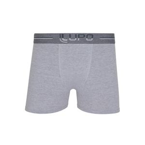 Boxer gris Lupo