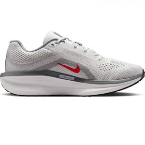 Champion cab. gris winflo 11 nike