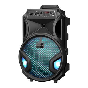 Parlante 12 bat bt/fm/luces/usb/tf MEGA STAR