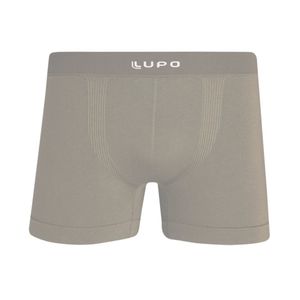 Boxer  gris lupo