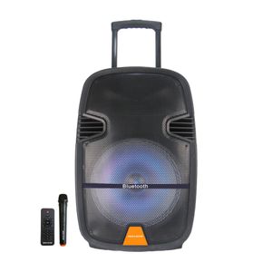 Parlante 12' Recargable 25000w Mega Star