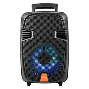 Parlante 8' Luces/Fm/Usb/Bt 12000w Mega Star